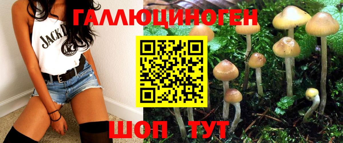 Псилоцибиновые грибы Psilocybe  Вход с VPN  купить наркоту  Кинель 
