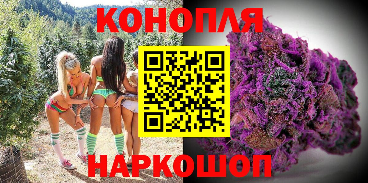 Кинель  Конопля планчик  МАРИХУАНА конопля  Шишки марихуана SATIVA & INDICA  Вход с VPN 