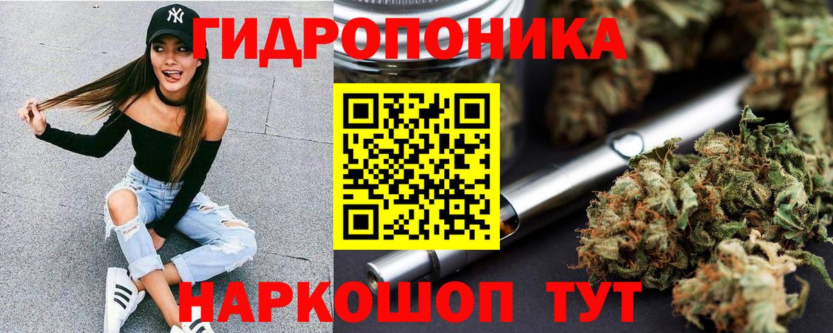 Бошки Шишки план Кинель